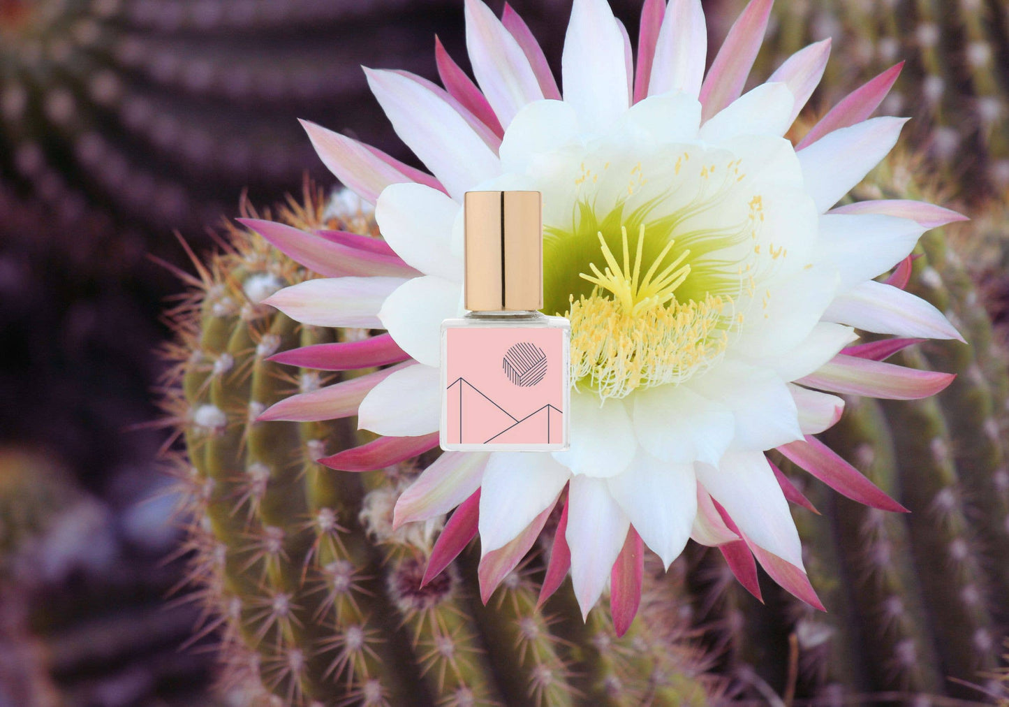 MEZCAL GOLD Perfume Oil: Flora