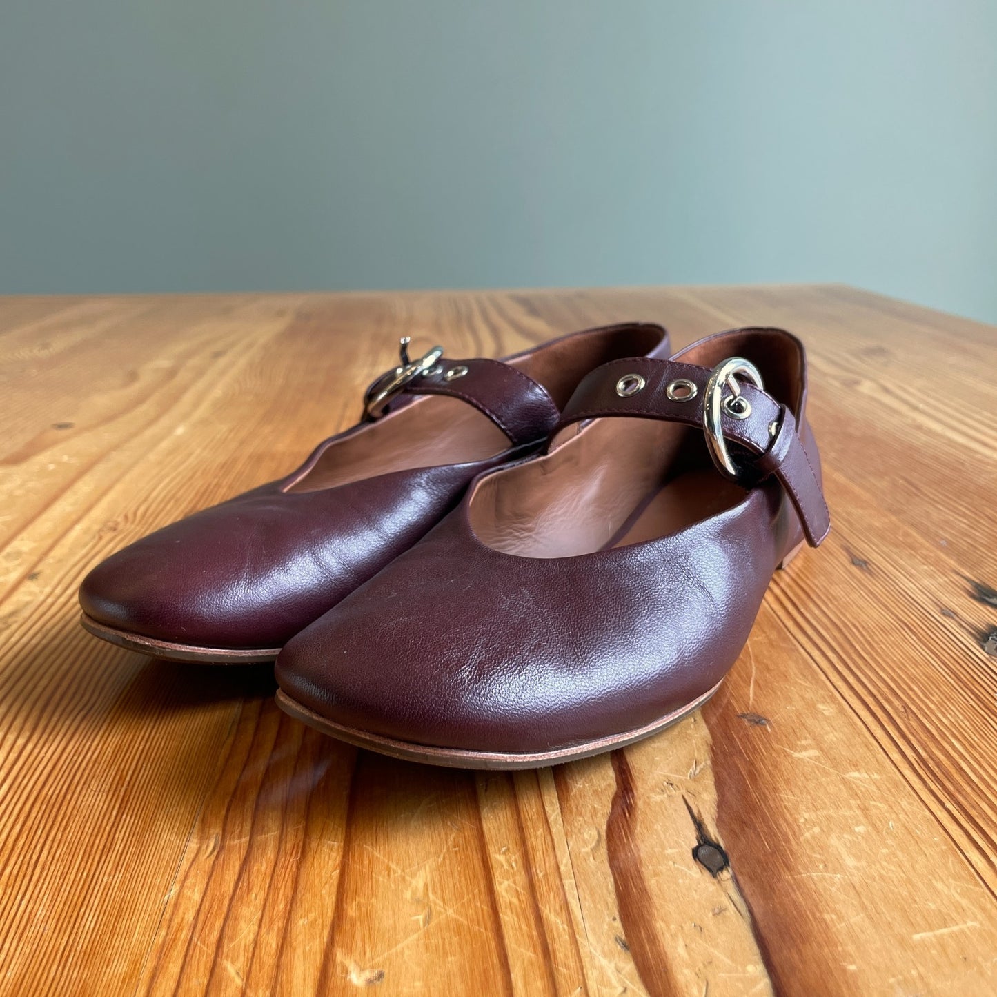 7 - Reformation $268 Burgundy Leather Mary Jane Bethany Ballet Flats 0714NF
