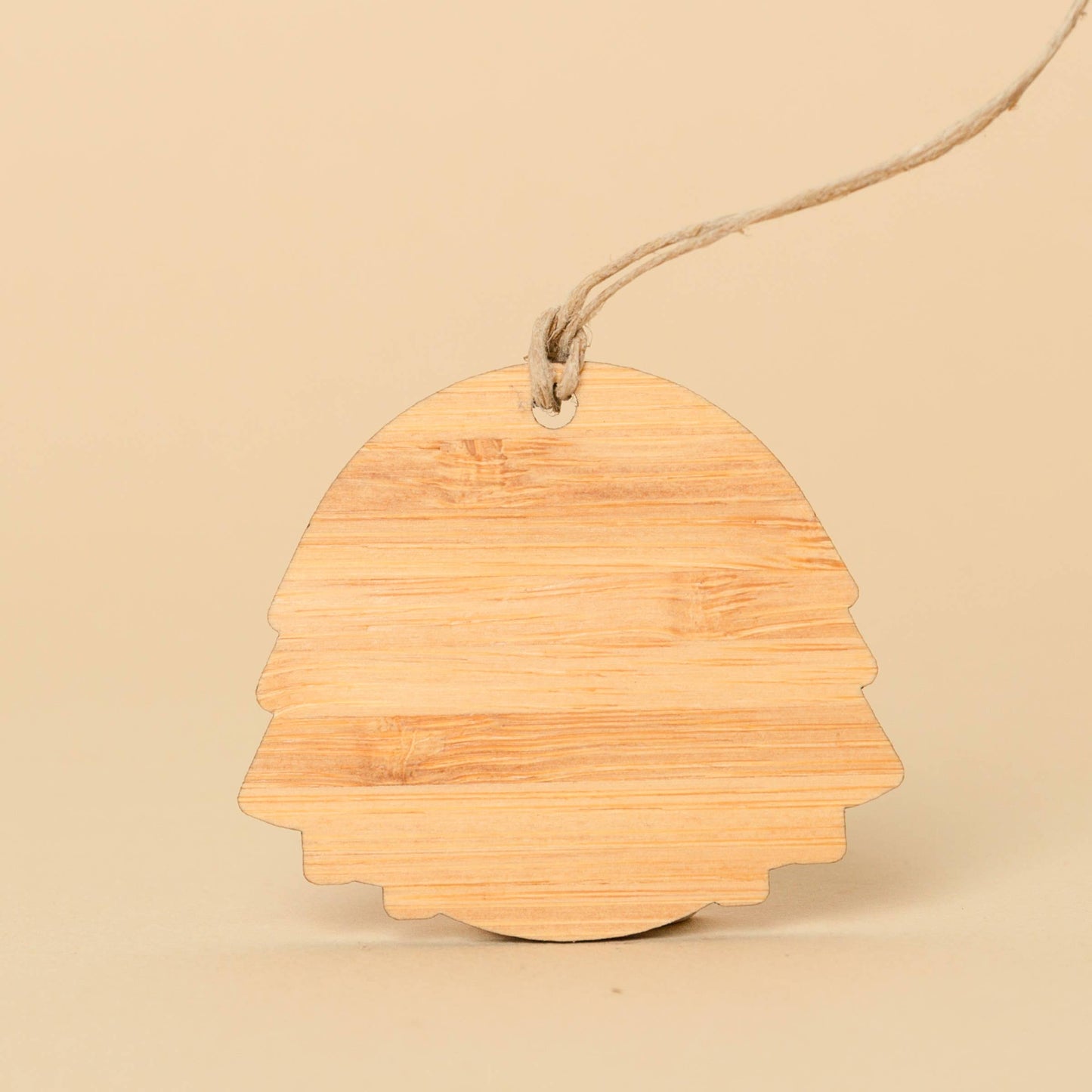 Lost Lake Ornament