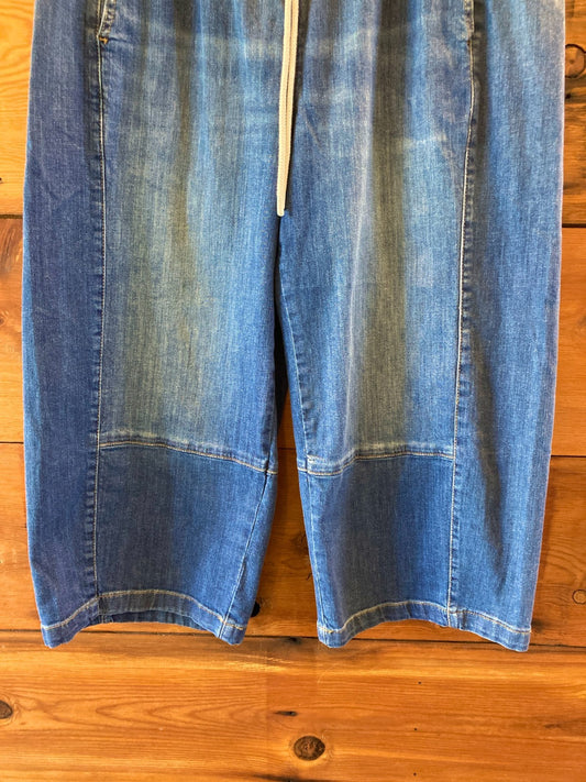 Pilcro Anthropologie Izzie Relaxed Pull-On Barrel Jeans - Size 1X - 1206HP