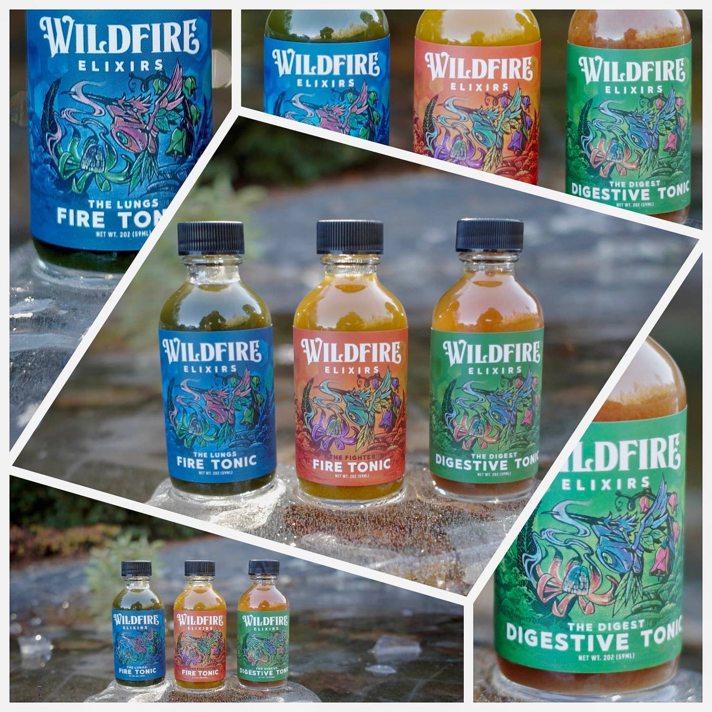 Wildfire Elixirs - Whole Body Health 3-Pack of 2oz wellness tonics