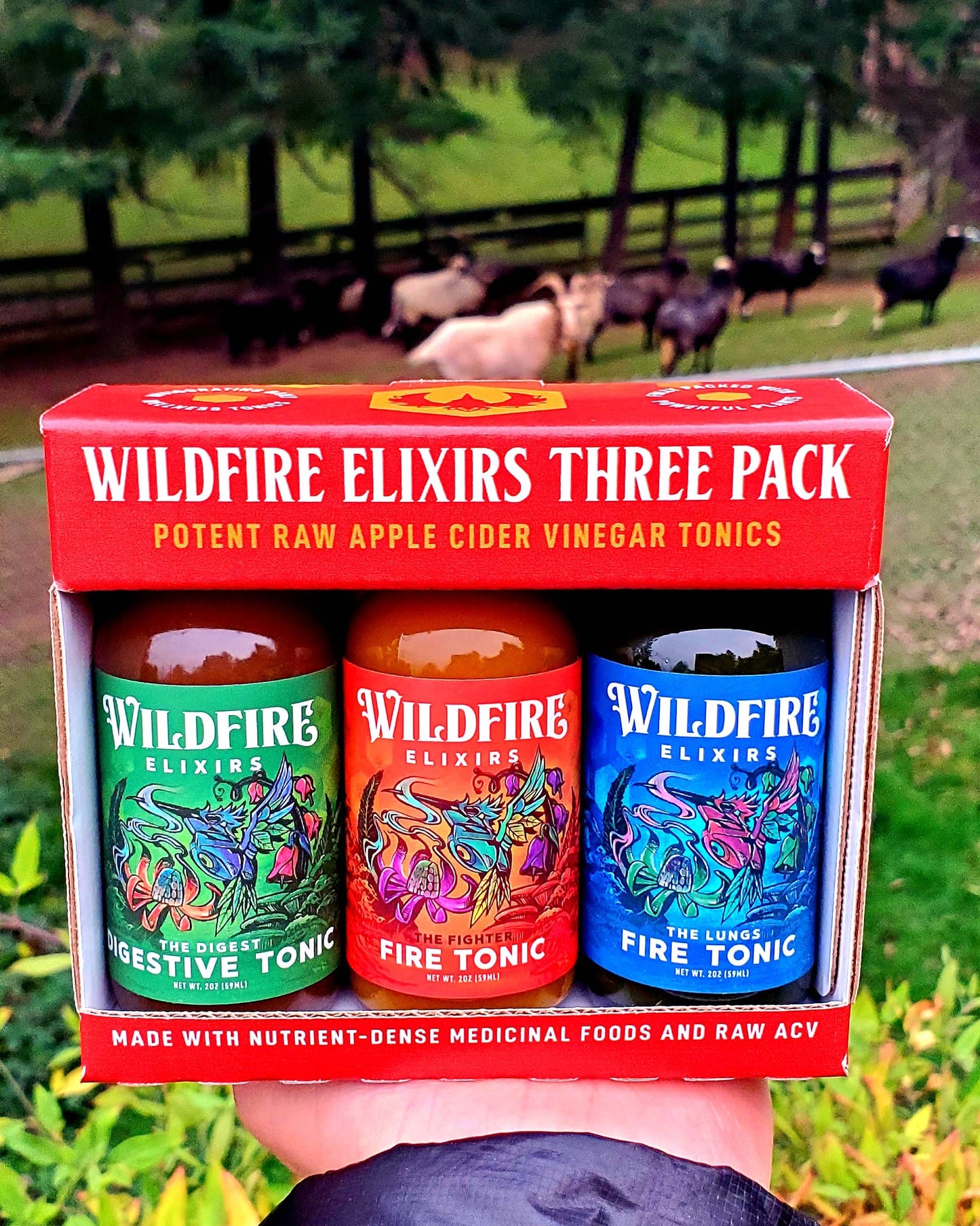 Wildfire Elixirs - Whole Body Health 3-Pack of 2oz wellness tonics