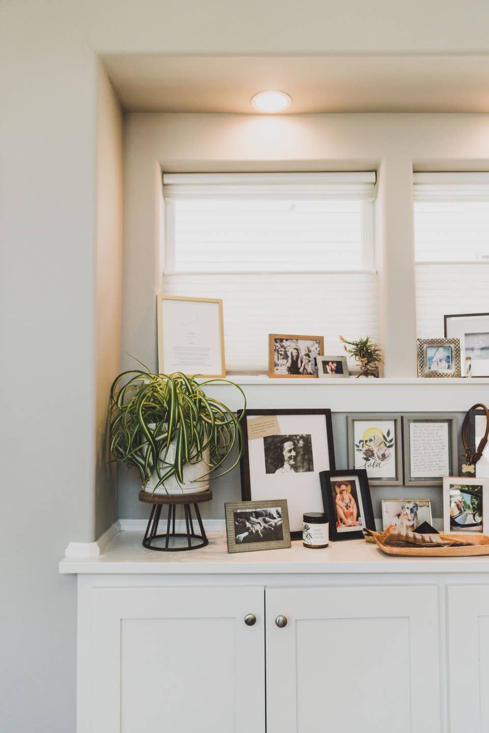 Cardamom Vanilla Natural Soy Candle 9 oz