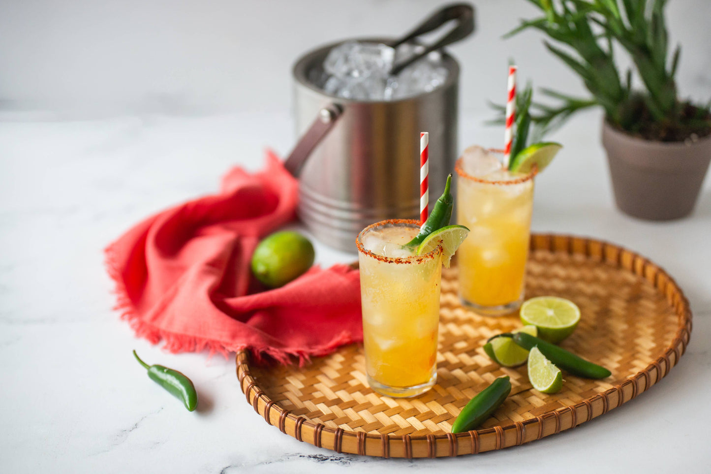 Gift Set - Emerald Standard Cocktail / Mocktail Drink Mixers