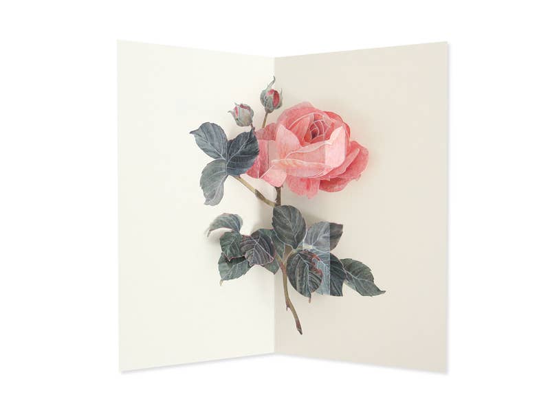 Rose Artisan Pop-up Love Card with Gold Foil