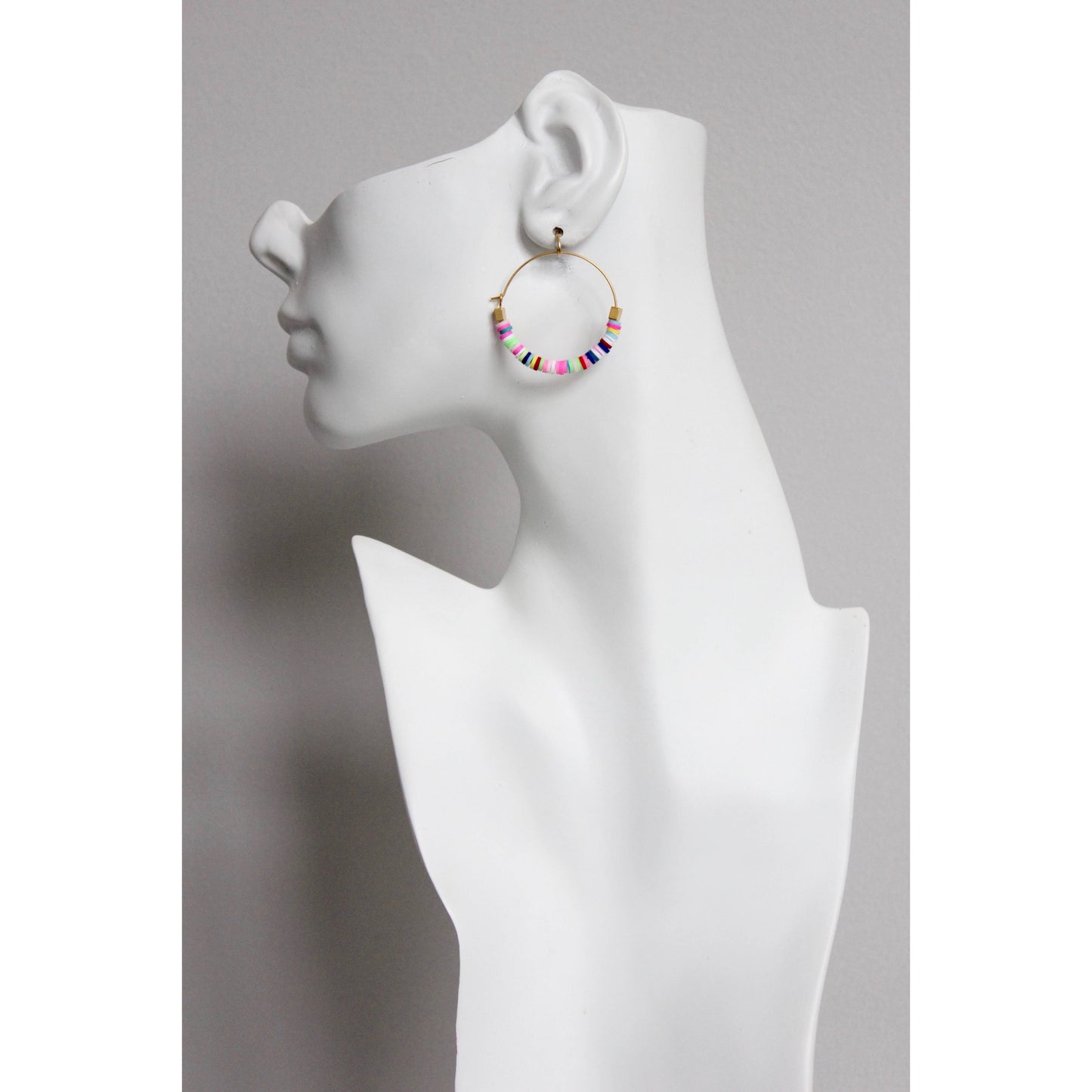 David Aubrey Jewelry - EMIE11 Rainbow hoop earrings