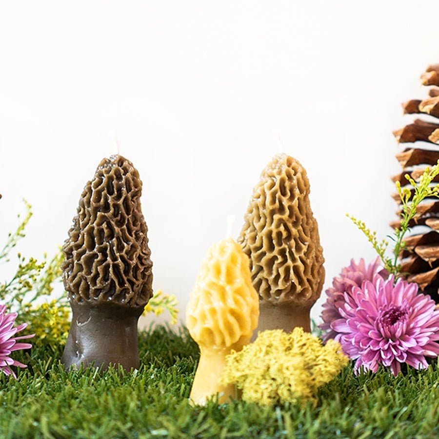 Beeswax Morel Mushroom Candle 2-pack: Yellow
