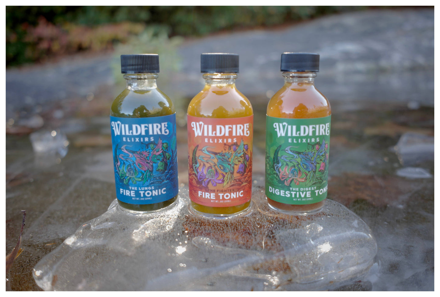 Wildfire Elixirs - Whole Body Health 3-Pack of 2oz wellness tonics