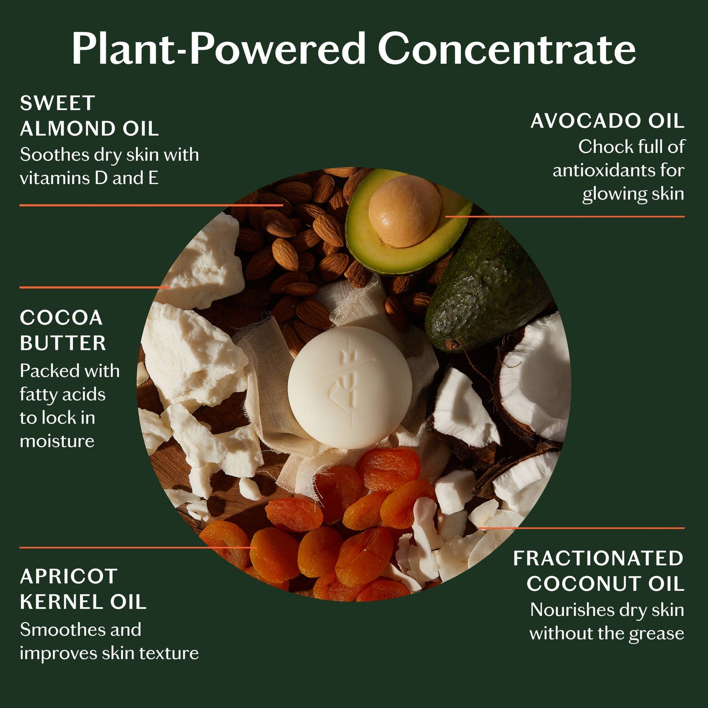 Grounding Stone | Deep Moisturizing Lotion Bar: Starter Kit (3.5 oz)