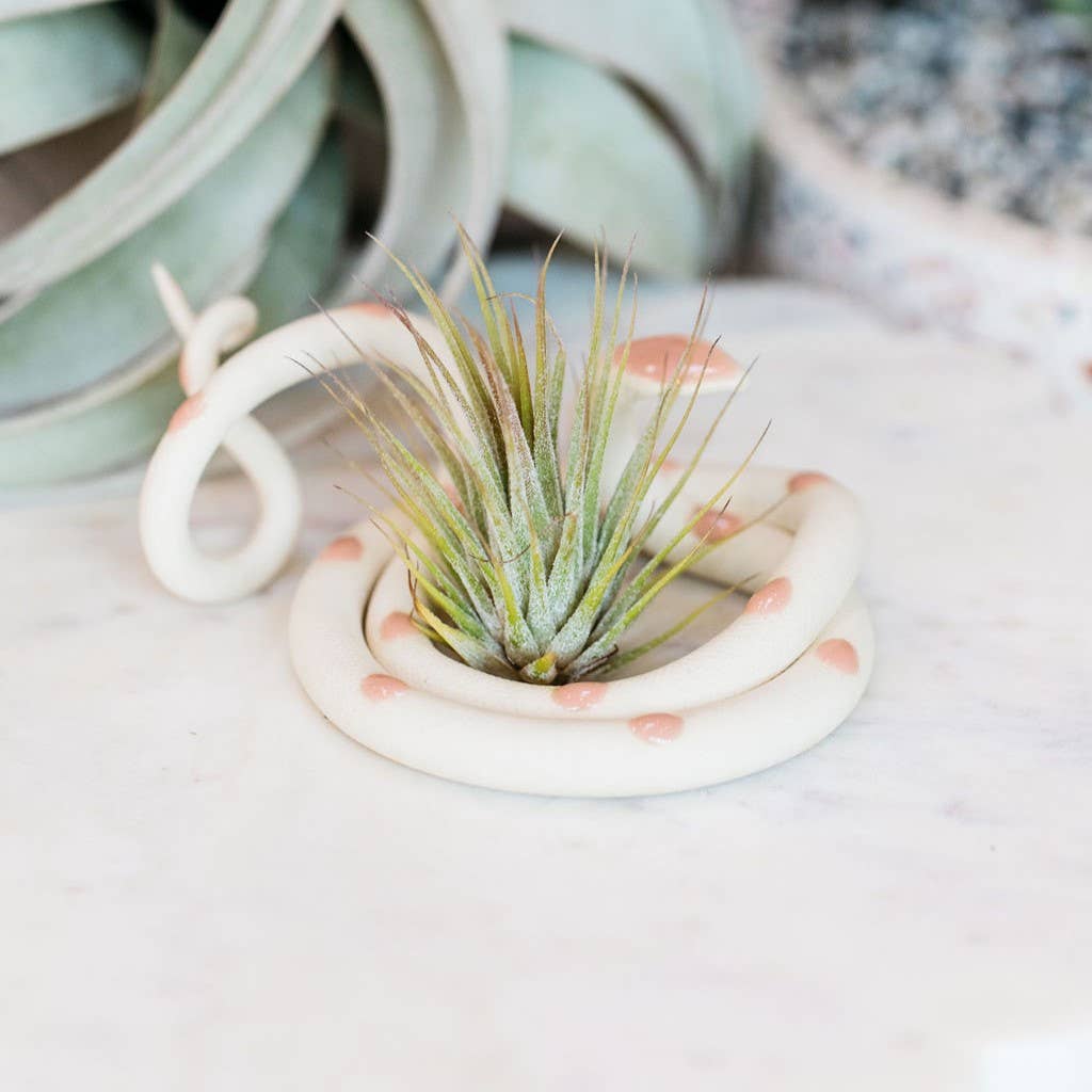 Carter & Rose - Medium Ceramic Snake: Sofie / Without Plant