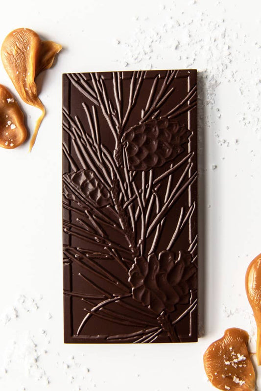 Wildwood Chocolate Salted Caramel Bar