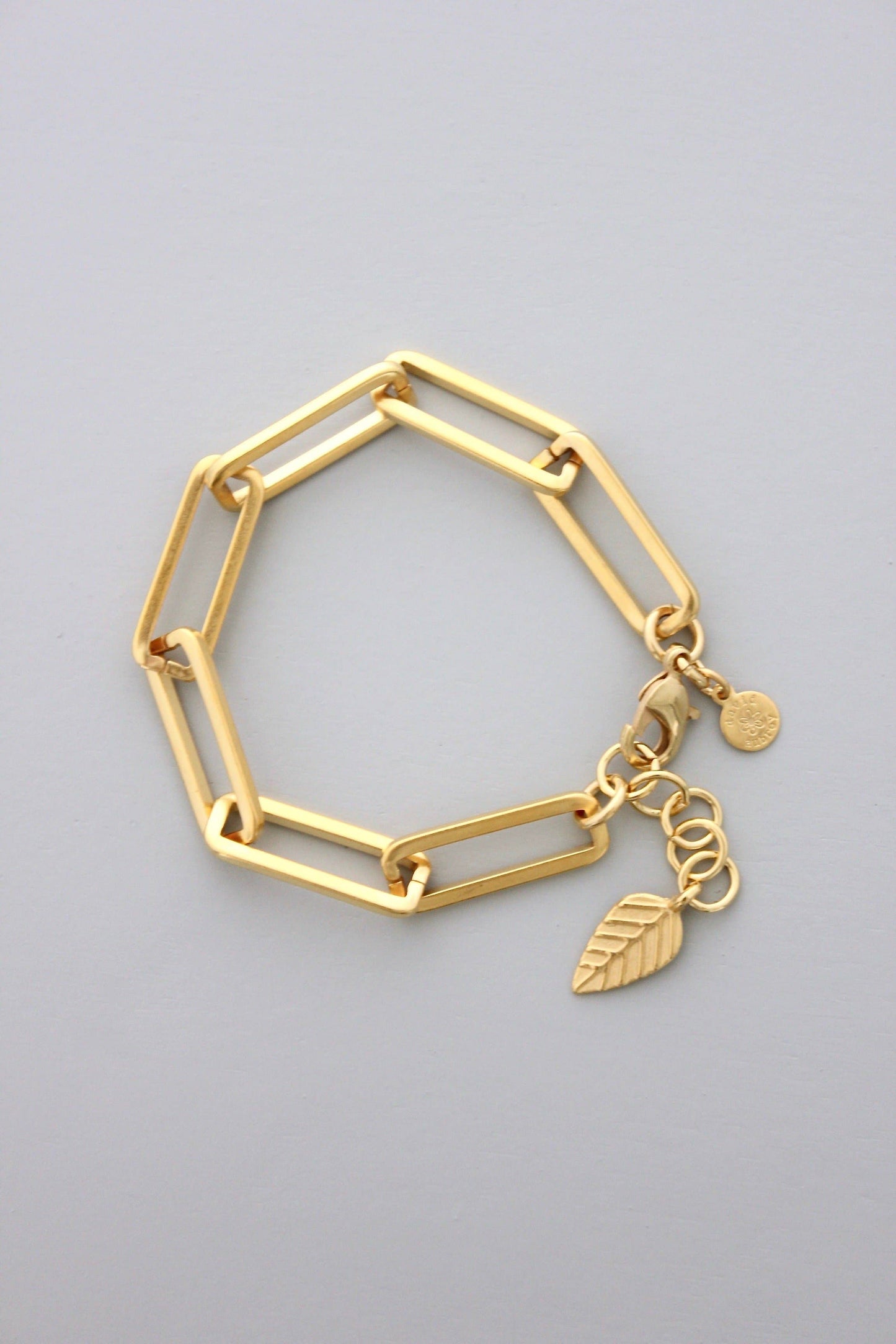 David Aubrey DORB20 Gold Chain Bracelet