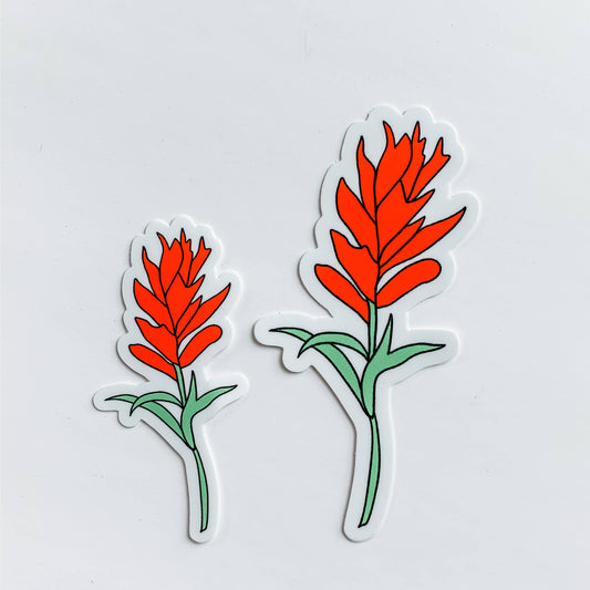 Wildflower Paper Co. - Indian Paintbrush Flower Wildflower Sticker