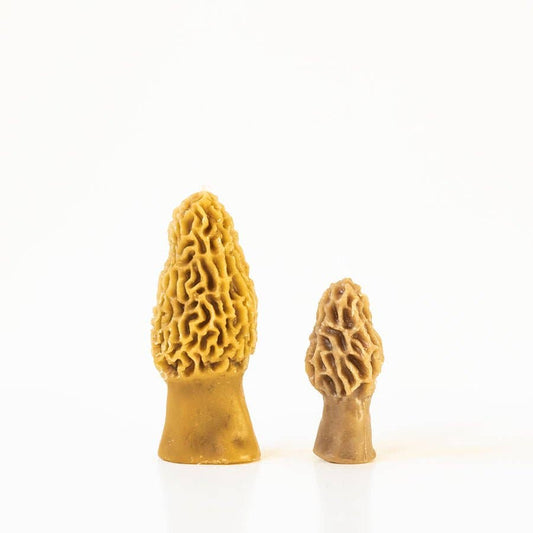 Beeswax Morel Mushroom Candle 2-pack: Yellow