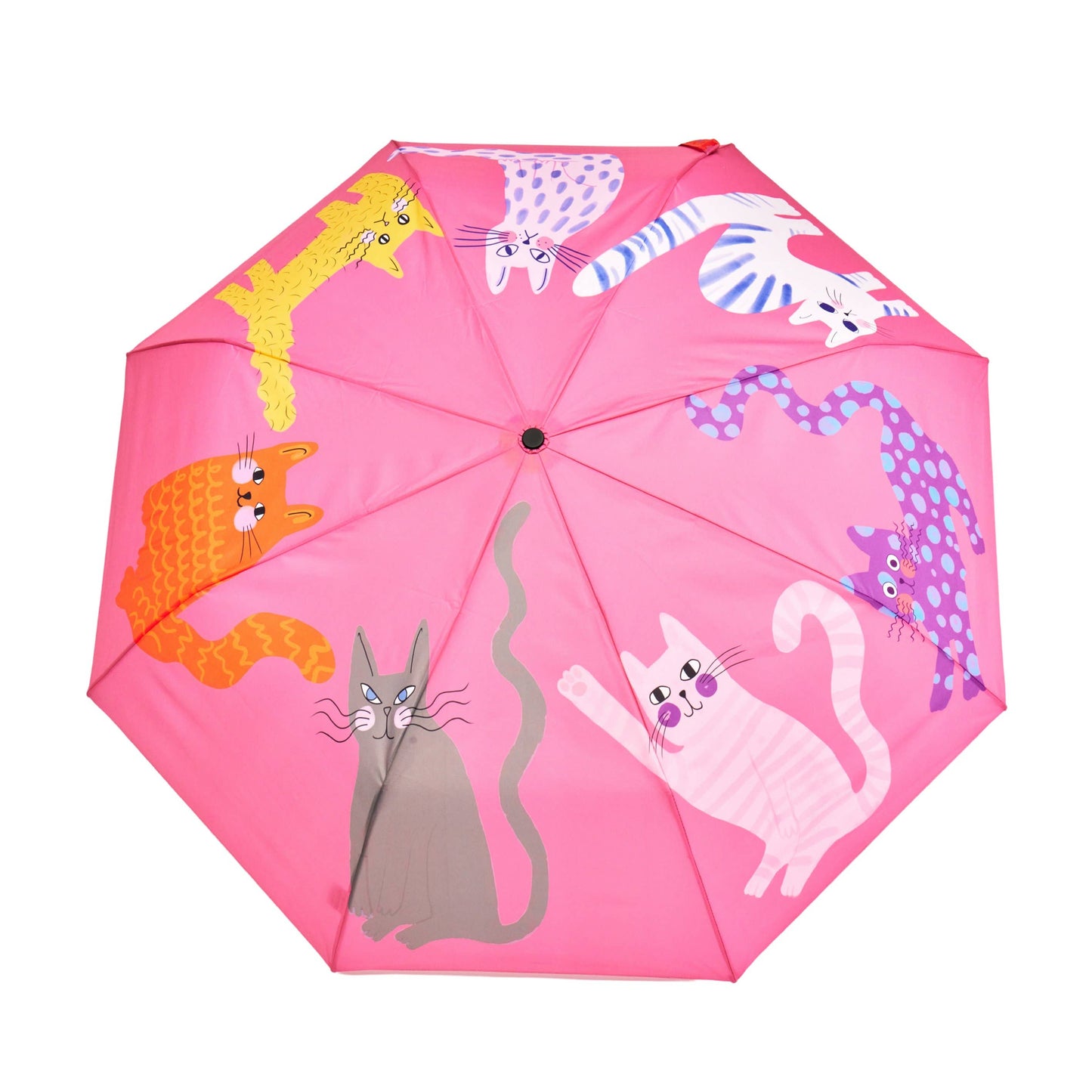 Multipack - Fuchsia/Lime/Ice Arty Cats Duck Umbrellas
