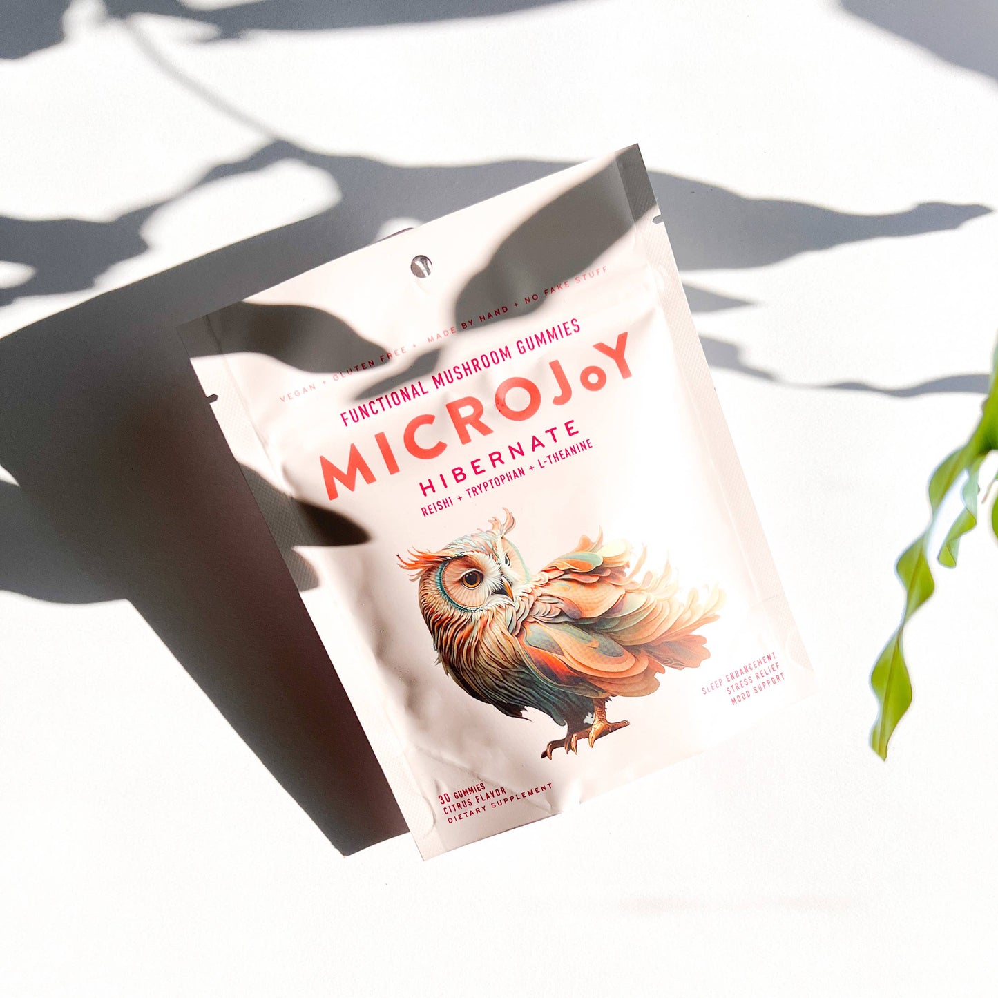 Microjoy - Hibernate Mushroom Gummies