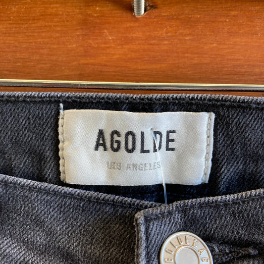 25 - AGoldE Black 90's Pinch Waist High Rise Straight Womens Jeans 0426CR