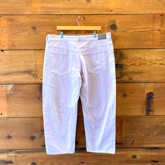 33 - Madewell Subtle Blossom Pink Darted Barrel Leg Jeans NEW 1206HP