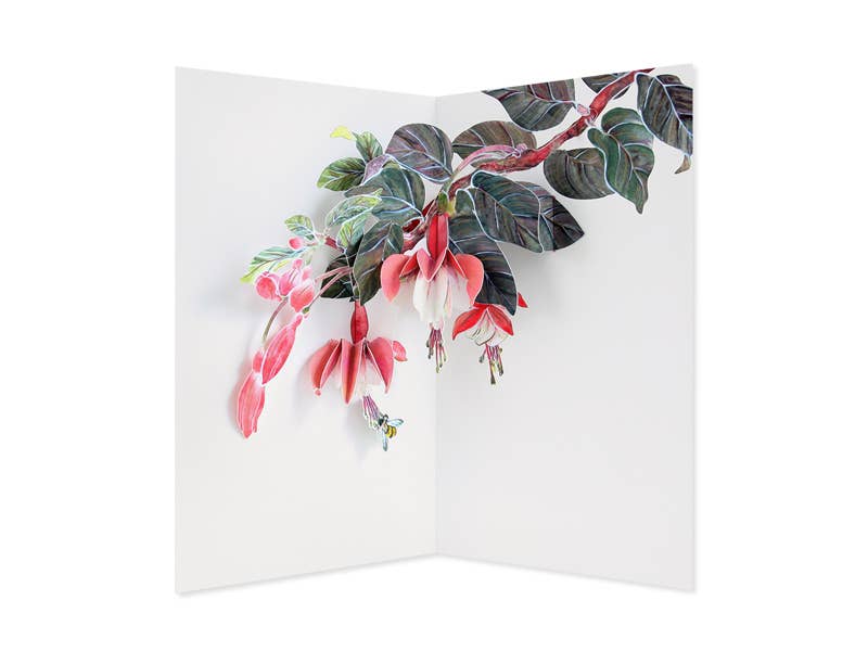 Fuchsia Pop-Up Card