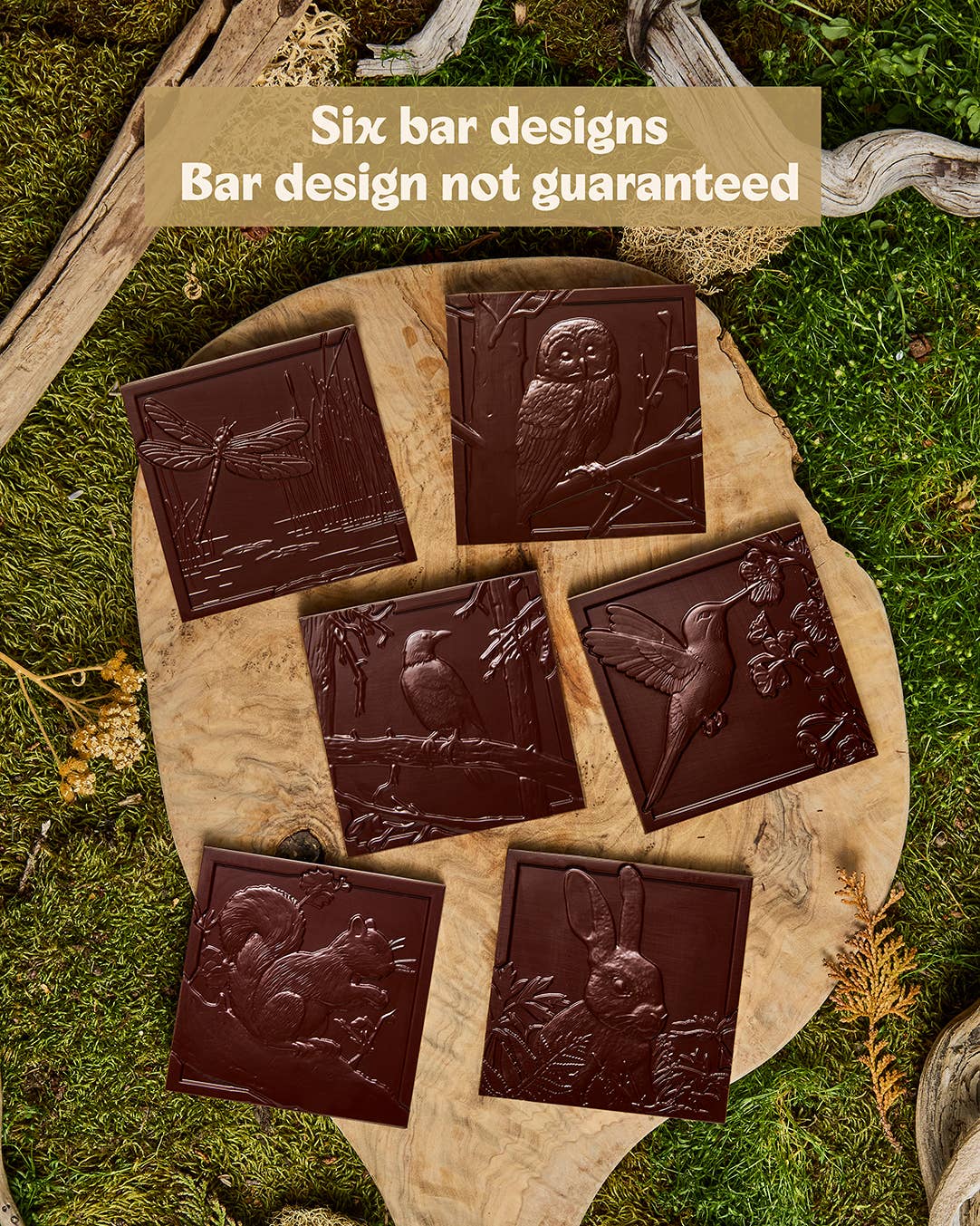 Wildwood Chocolate - Woodland Collection Berry Berry