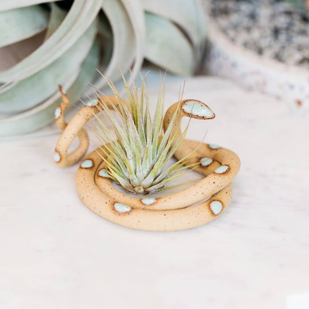 Carter & Rose - Medium Ceramic Snake: Sylvia / Without Plant