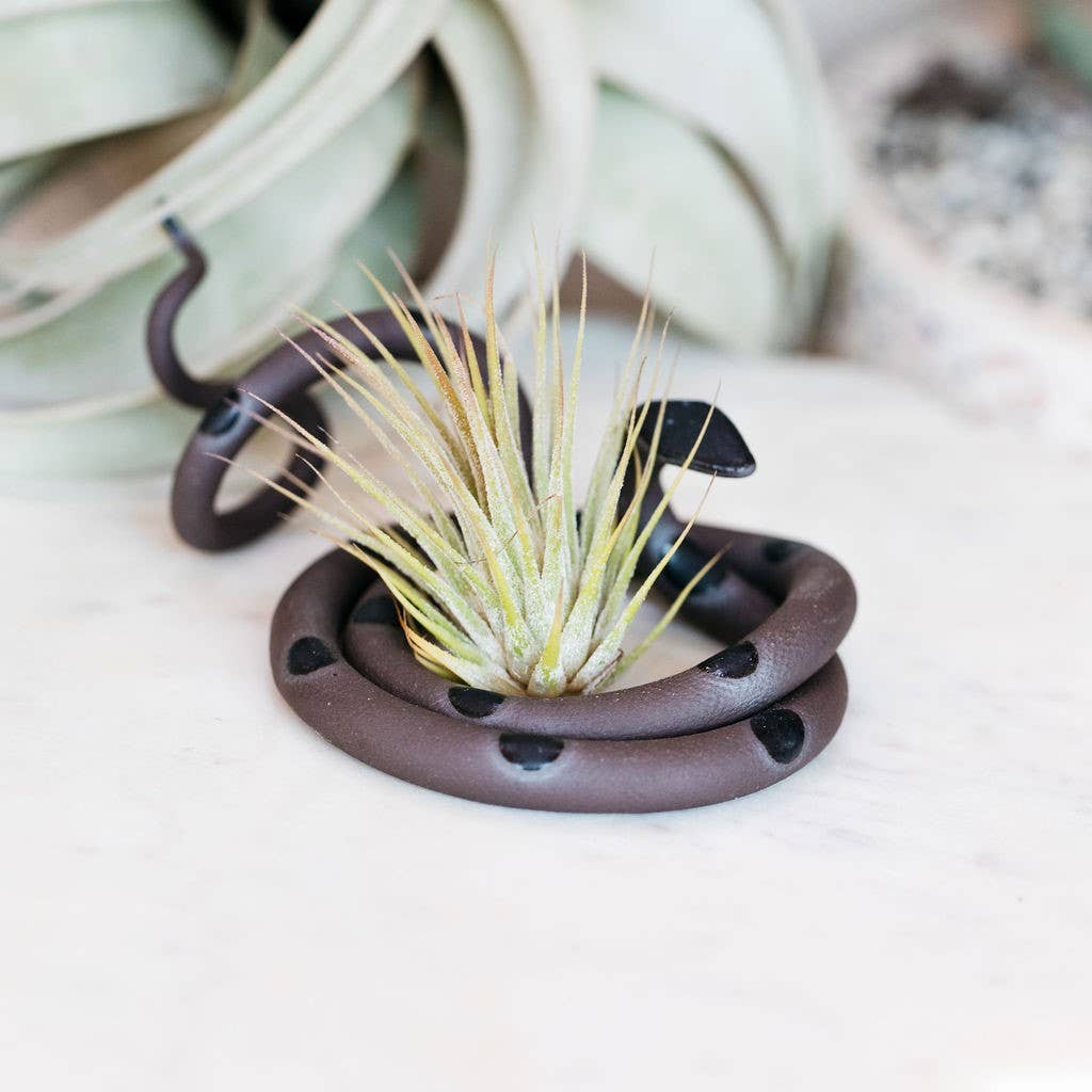 Carter & Rose - Medium Ceramic Snake: Sylvia / Without Plant