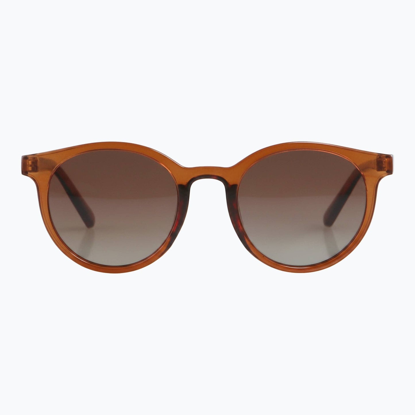 Jaxy Eyewear - Havana Haze - Polarized Round Sunglasses for Women & Men : Brown