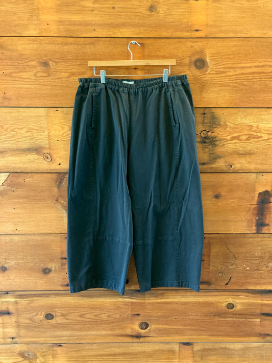 Pilcro Anthropologie Black Izzie Relaxed Pull-On Barrel Pants - Size 1X - 1206HP