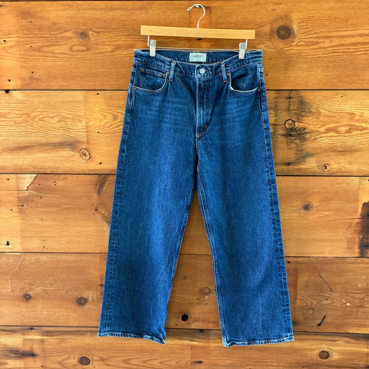 AGOLDE $238 Dark Wash Ren Button Fly Wide Leg High Rise Jeans - Size 30 - 0617LH