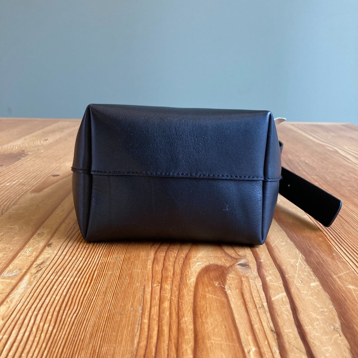 Madewell $138 Black Leather Essential Mini Bucket Crossbody Purse NEW 1019CT