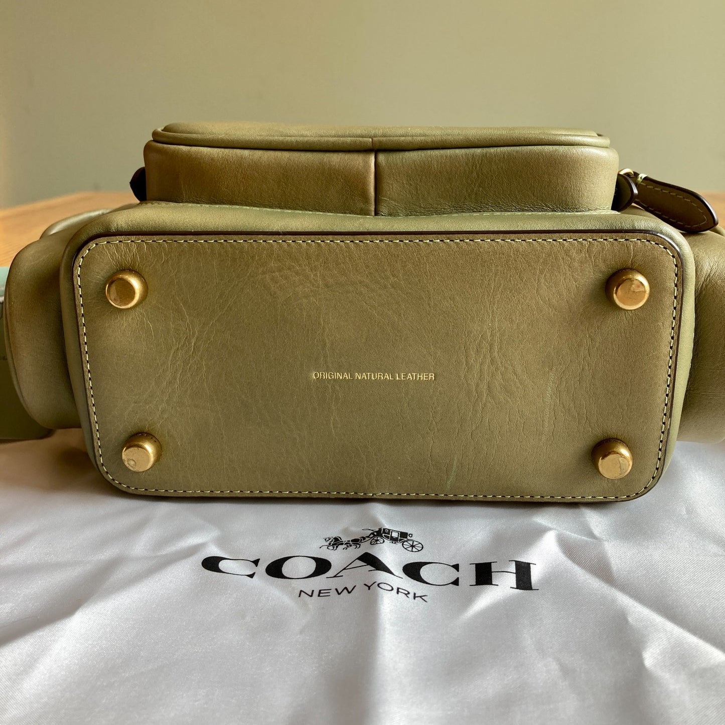 Coach Light Green Leather Utility Crossbody 18 Turnlock Pocket Bag - 0731LR