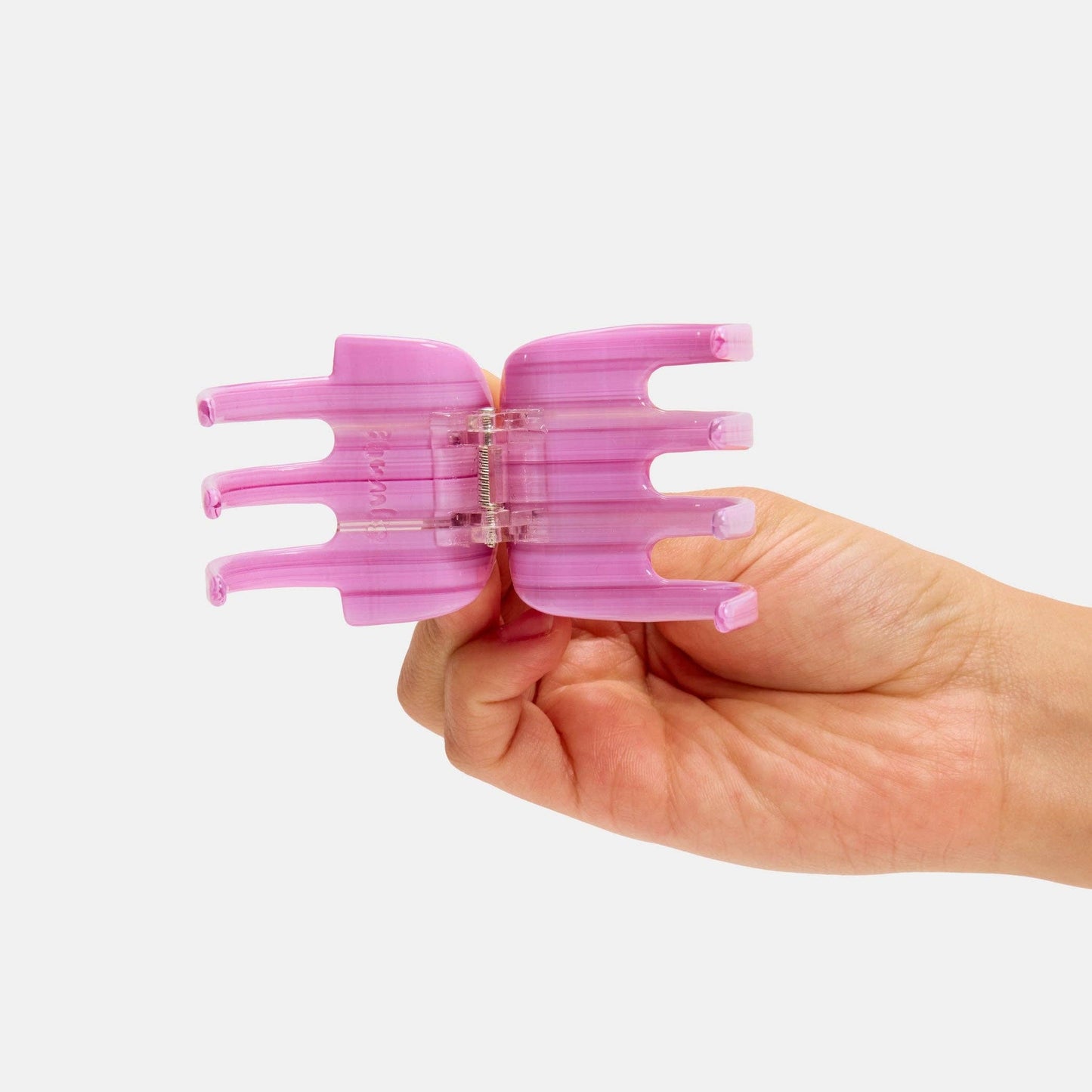 Ursa Claw in Petunia