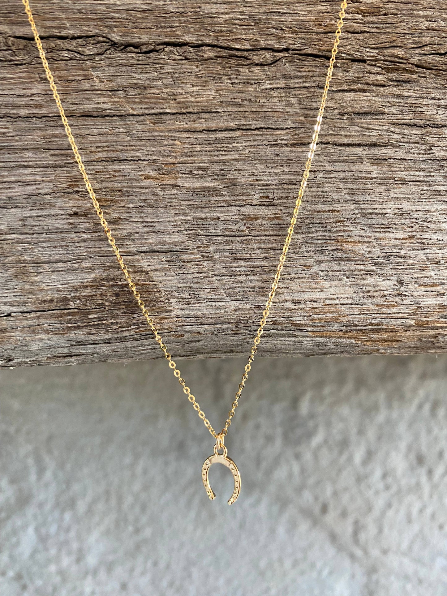 Padgett Hoke - Petite Horseshoe Necklace