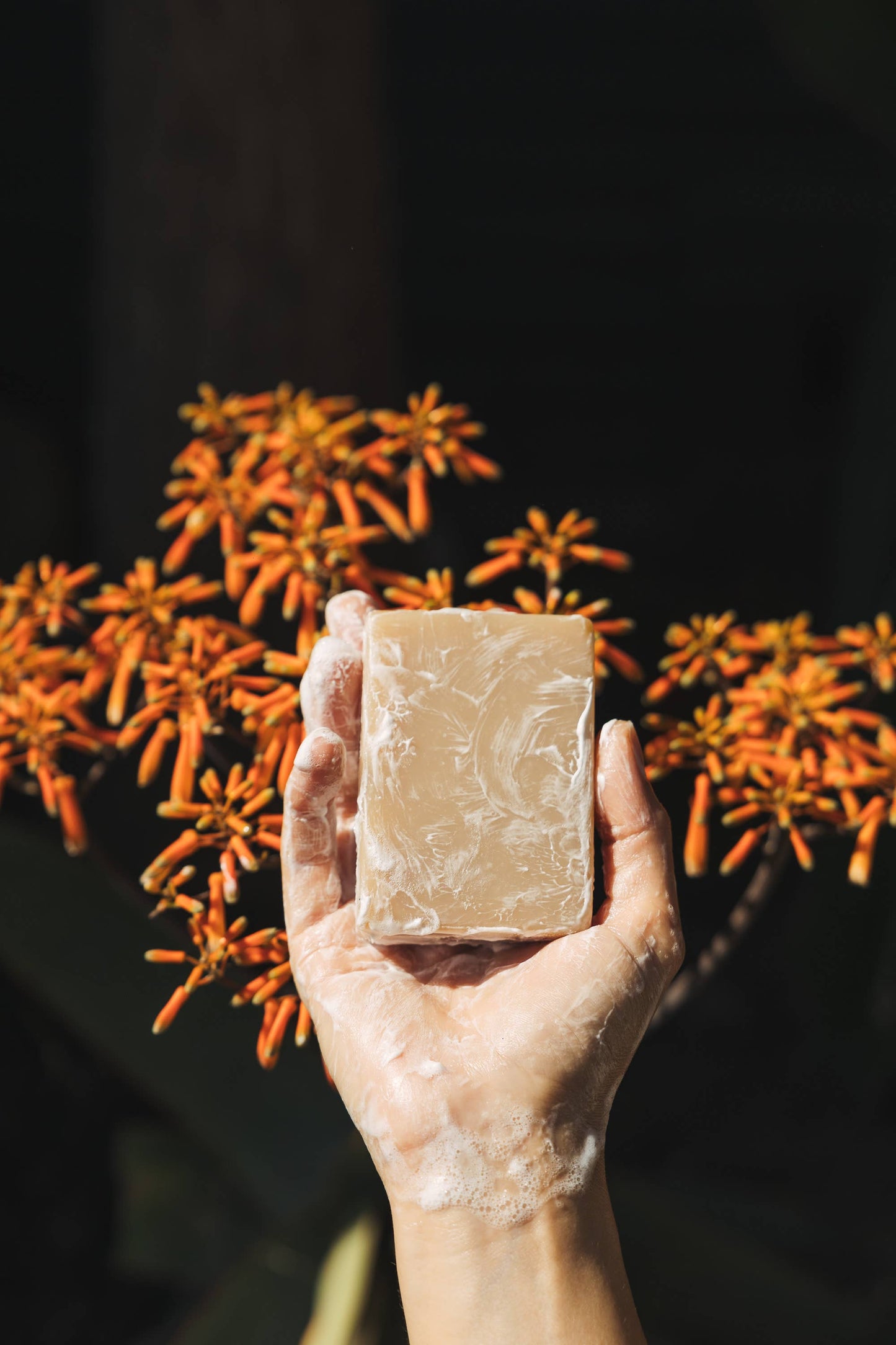 Sea Salt Surf Bar Soap