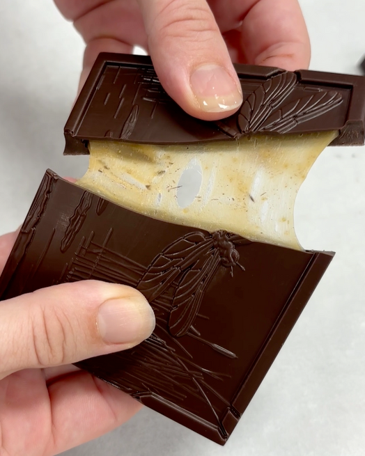 Wildwood Chocolate - Woodland Collection Cardamom and Honey with Sea Salt Caramel