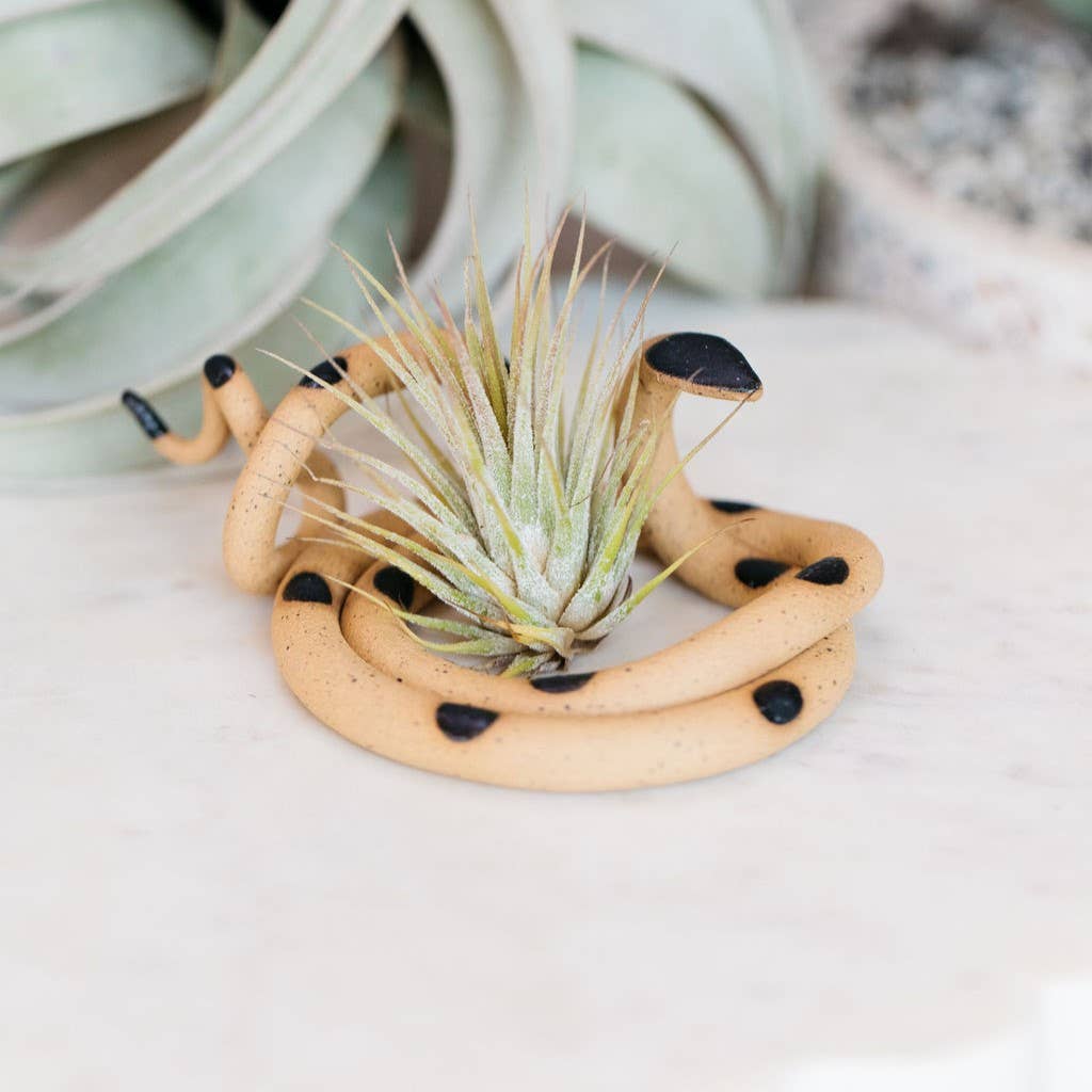 Carter & Rose - Medium Ceramic Snake: Sylvia / Without Plant