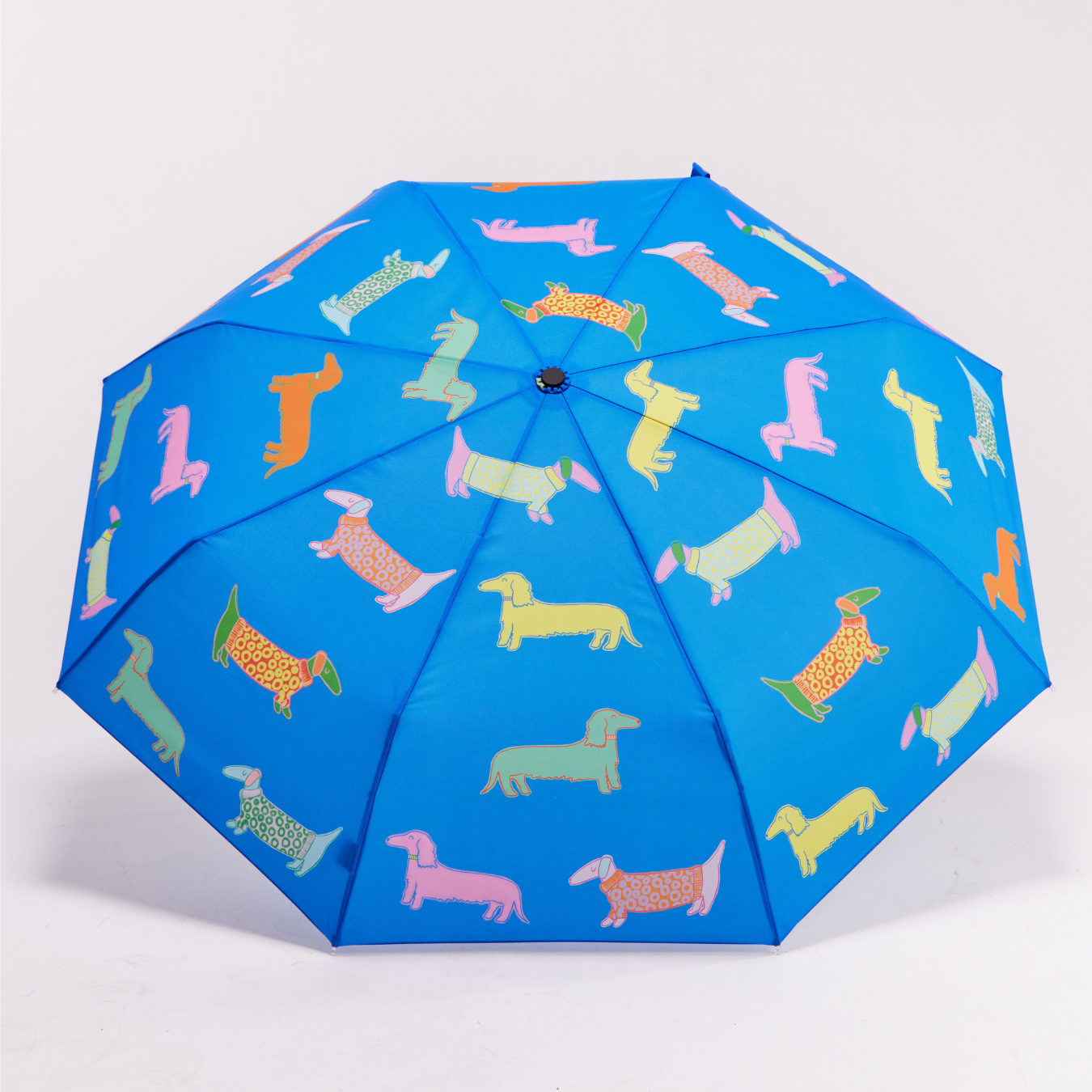 Original Duckhead USA - NEW Multipack - Dogs in Blue & Pink Duckhead Umbrellas 6 pcs