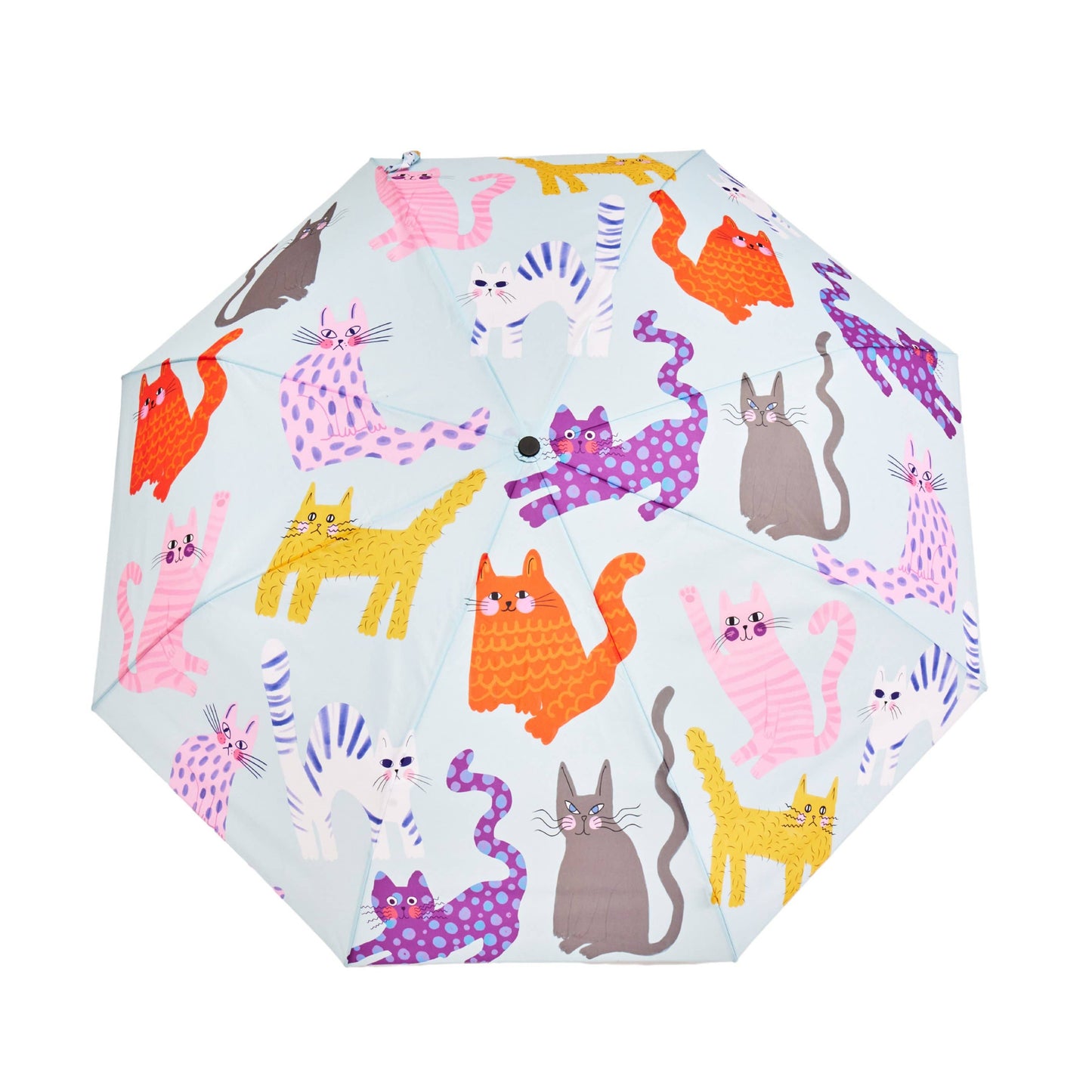 Multipack - Fuchsia/Lime/Ice Arty Cats Duck Umbrellas