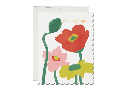 Red Cap Cards - Scalloped Poppy thank you greeting card