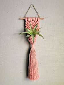 Mother of Pearl Handmade Goods - Air Plant Hanger - Brushed Mermaid Tail - Soft Cranberry