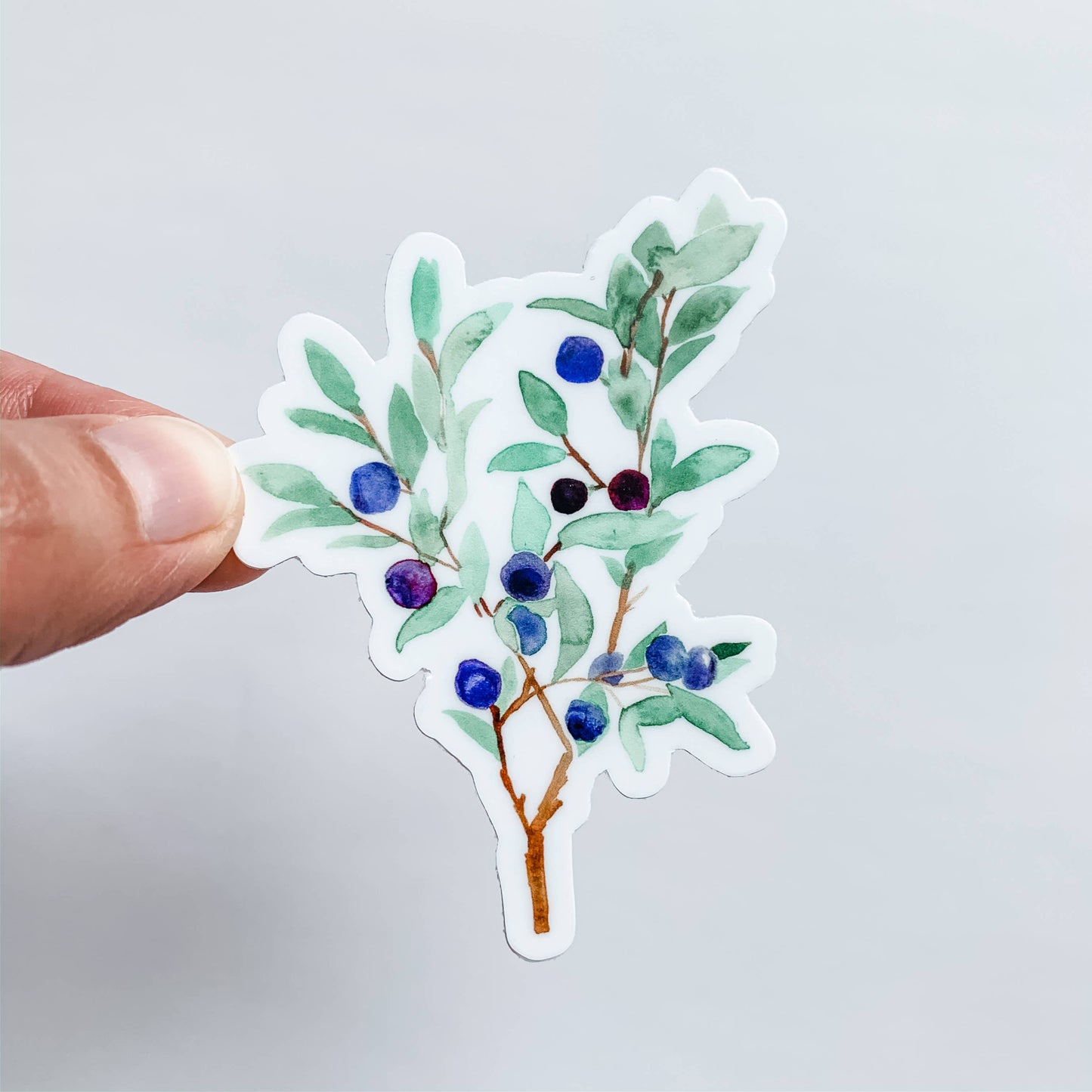 Wildflower Paper Co. - Huckleberry Branch Sticker Decal