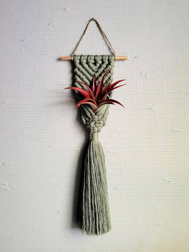 Mother of Pearl Handmade Goods - Air Plant Hanger - Brushed Mermaid Tail - Sage Green