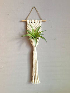 Mother of Pearl Handmade Goods - Air Plant Hanger - Corded Mermaid Tail - White