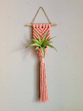 Mother of Pearl Handmade Goods - Air Plant Hanger - Corded Mermaid Tail - Soft Cranberry