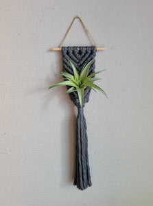 Mother of Pearl Handmade Goods - Air Plant Hanger - Corded Mermaid Tail - Grey