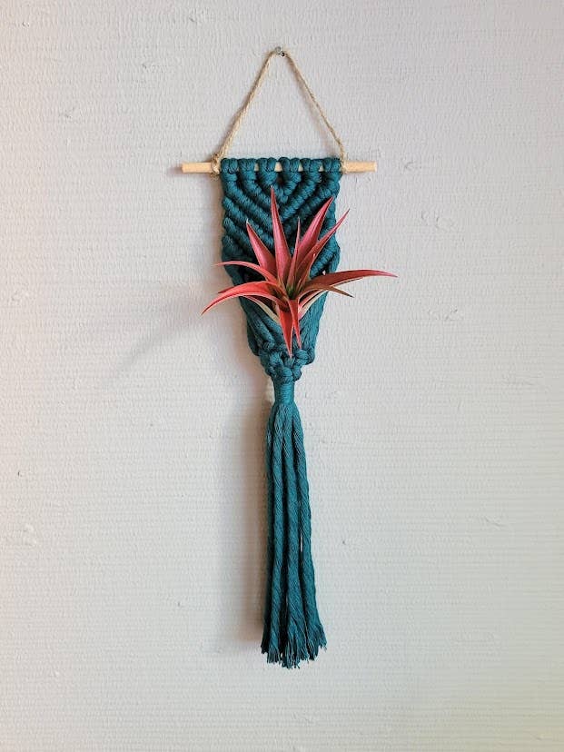 Mother of Pearl Handmade Goods - Air Plant Hanger - Corded Mermaid Tail - Deep Emerald