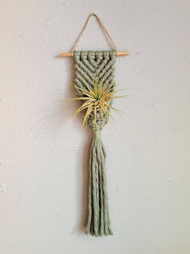 Mother of Pearl Handmade Goods - Air Plant Hanger - Corded Mermaid Tail - Sage
